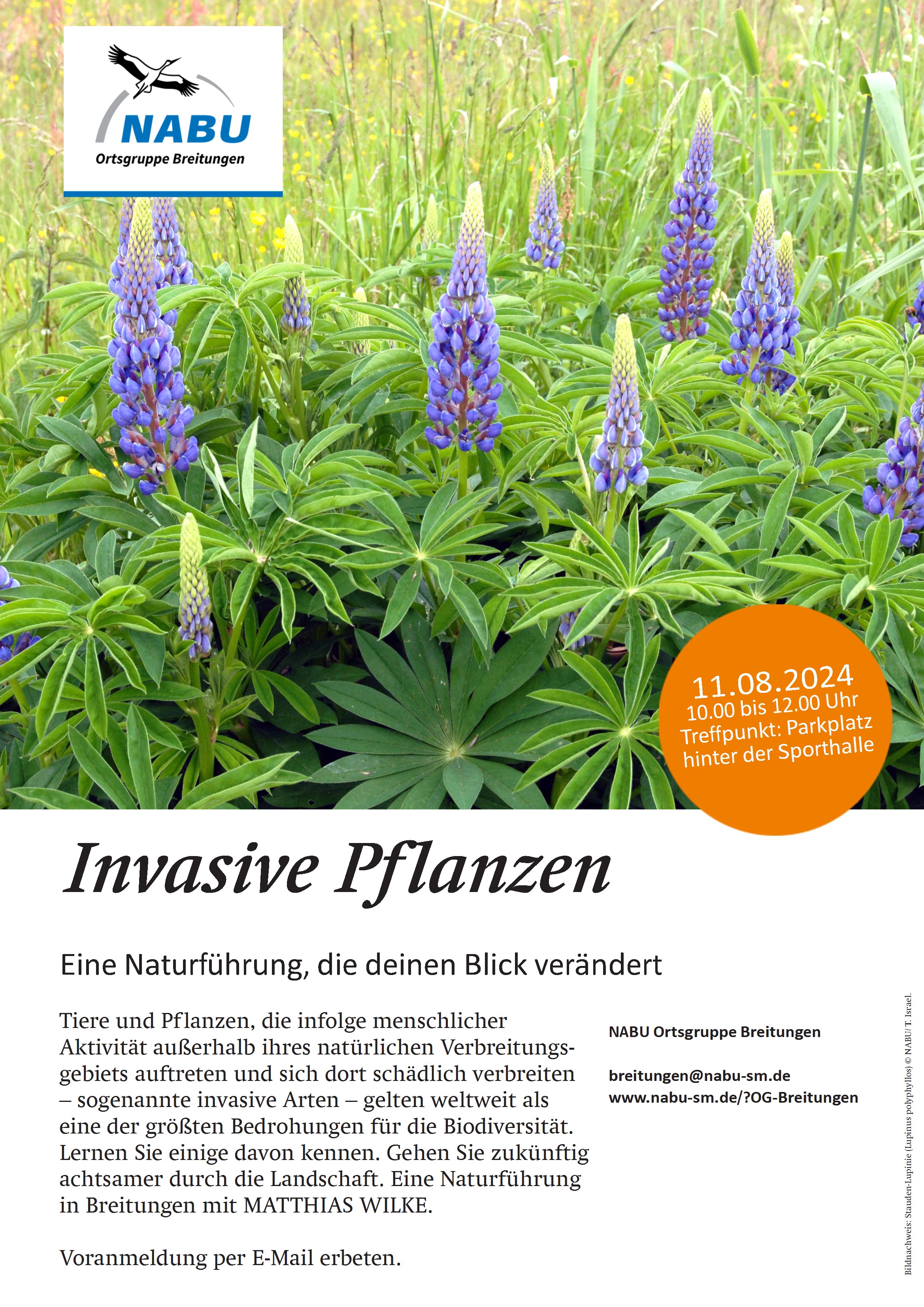 Plakat Invasive Pflanzen A3