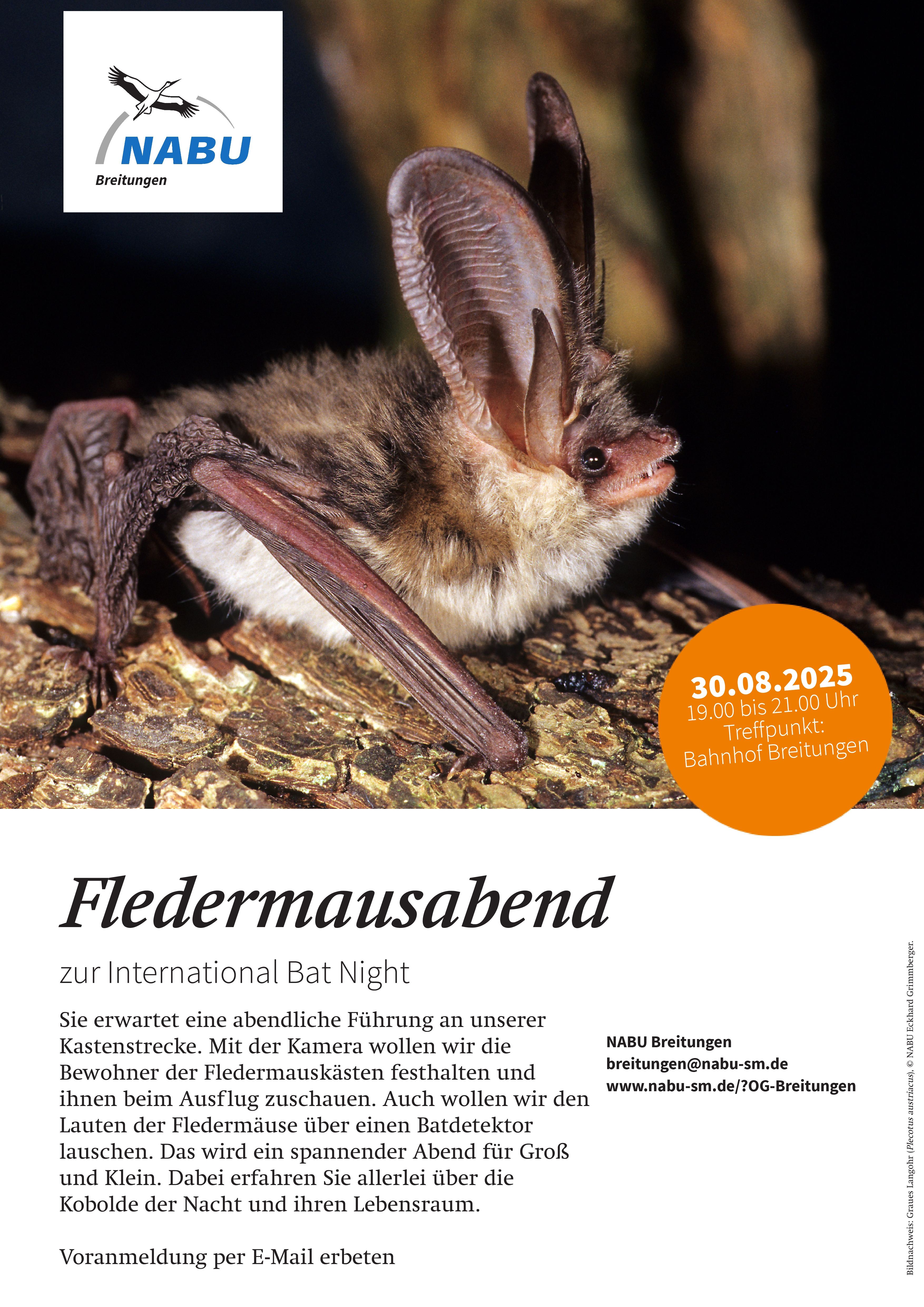 Plakat Fledermausnacht